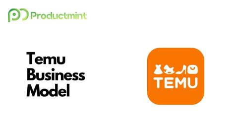 How Does Temu Make Money? Dissecting Its Business Model (2024)