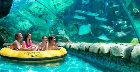 Aquatica San Antonio, San Antonio - Book Tickets & Tours | GetYourGuide