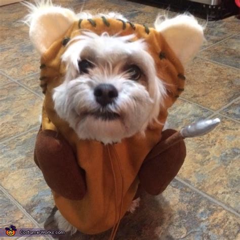 Ewok Dog Costume | No-Sew DIY Costumes