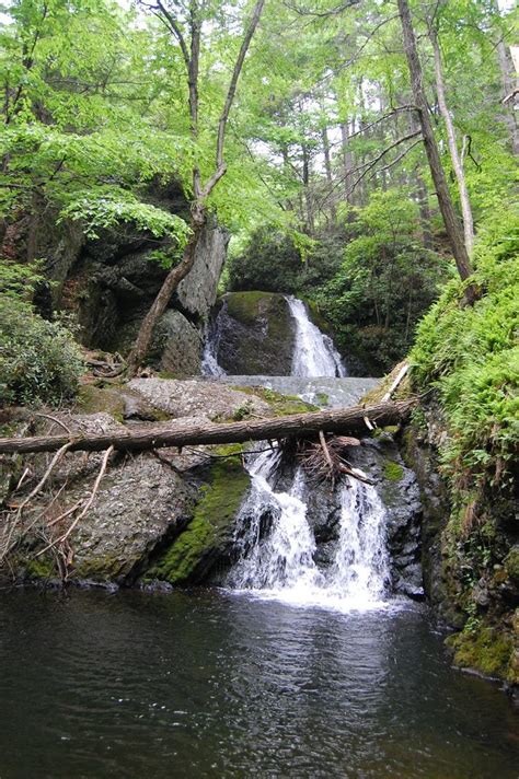 Pocono Environmental Education Center (Dingmans Ferry) - 2019 All You Need to Know BEFORE You Go ...