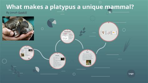 What makes a platypus a unique mammal? by Jonah G on Prezi