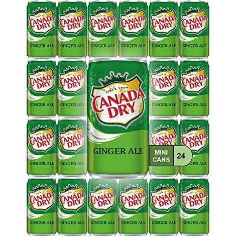 Canada Dry Ginger Ale Mini Soda Cans, 7.5 oz Soft Drinks Bulk Snacks Pack, Small Refrigerator ...