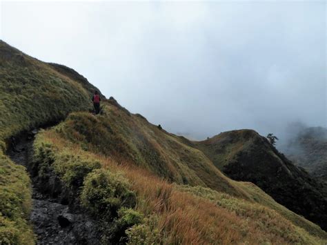 Hiking to the Summit of Mt Pulag - The Philippines - Safe and Healthy ...