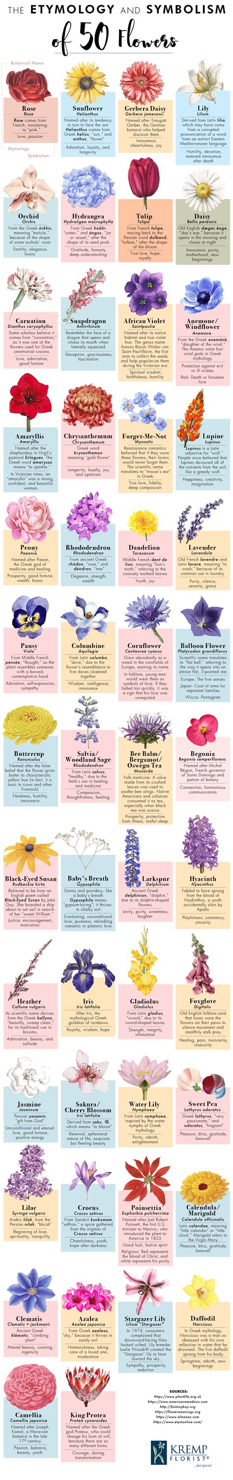 The Etymology and Symbolism of 50 Flowers #infographic - Visualistan