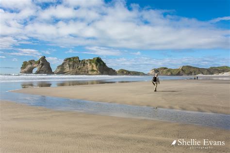 Archway Islands, Wharariki Beach Walk, Golden Bay | Shellie | Flickr