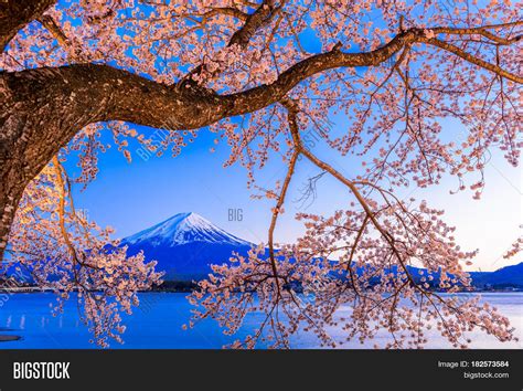 Kawaguchi Lake, Japan Image & Photo (Free Trial) | Bigstock