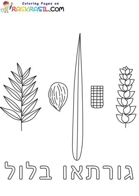 Lulav and Etrog Coloring Pages