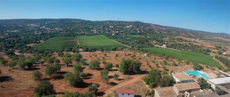 Algarve, Portugal: Wine Tasting in Loulé departing from Faro (guided) - 5 Luso