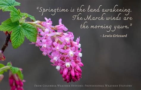 Happy First Day of Spring! | First day of spring, Weather quotes, Spring photos