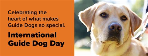 Celebrating International Guide Dog Day 2020 - April 29 | Australian ...