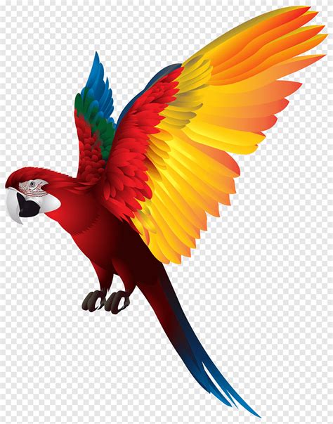 Free download | Red-breasted pygmy parrot Bird, Parrot, red, blue, and yellow macaw, vertebrate ...