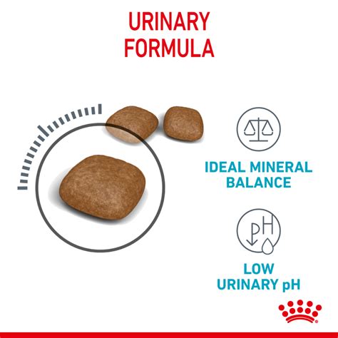 Buy Royal Canin Urinary Care Dry Cat Food Online | Better Prices At Pet Circle