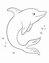 Free Printable Dolphin Coloring Page  Free Printable Coloring Pages sketch template