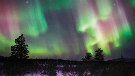 The Northern Lights Of Finland - Trip Canvas