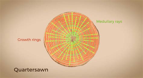 Guitar Wood - An easy guide to Seasoning and Milling