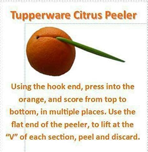 Tupperware Citrus -- Orange -- Peeler | Pricepulse