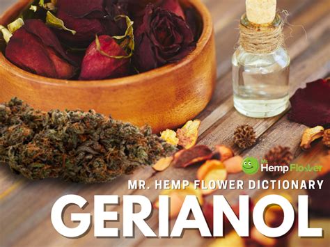 Geraniol Terpene Review: What Is It And What It Does