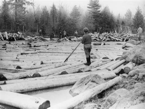 Five loggers on a log jam in the Adirondacks