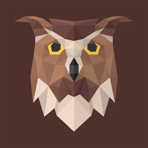 Owl Head Geometric Modern Illustration 262098 Vector Art at Vecteezy