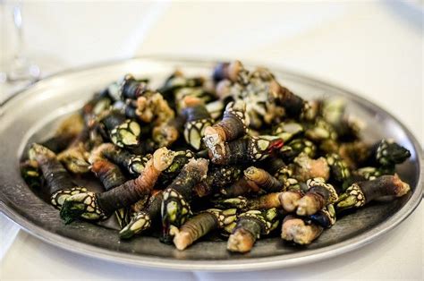 eating 'percebes' (goose/neck barnacles) is like eating the sea ...