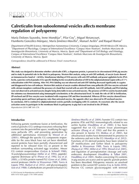 Obox4-Silencing-Activated STAT3 and MPF/MAPK Signaling Accelerate ...