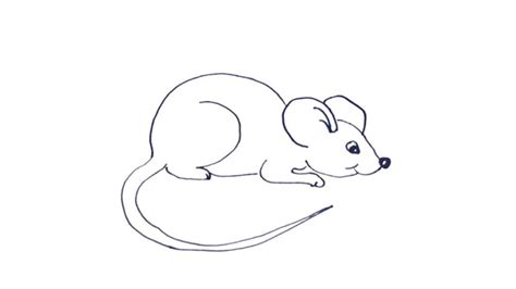 How To Draw A Little Mouse - My How To Draw