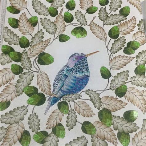 17 Best images about Hummingbird Art on Pinterest | Hummingbirds ...