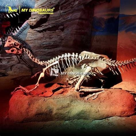 Oviraptor Skeleton With Dinosaurs Eggs Fossils for Sale