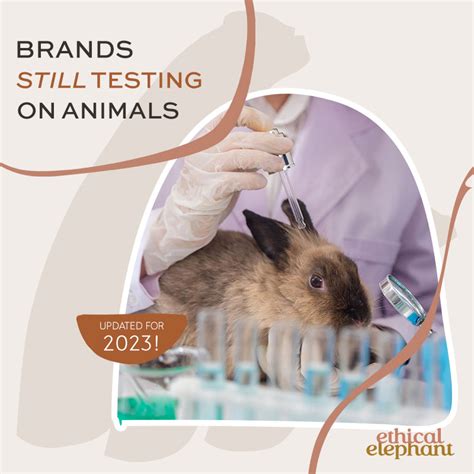 Cosmetics Brands that STILL Test on Animals in 2023