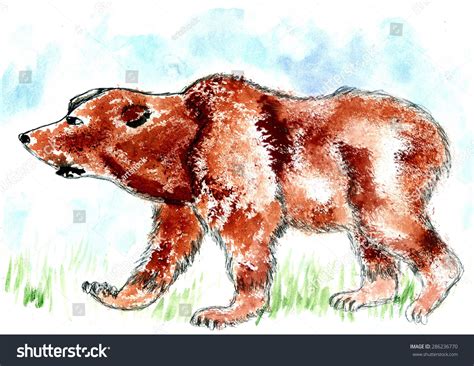 Watercolor Painting Brown Bear Hand Drawn Stock Illustration 286236770 | Shutterstock