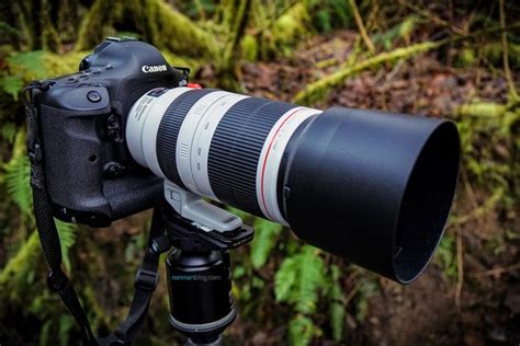 Ron Martinsen's Photography Blog: REVIEW: Canon EF 100-400mm f/4.5-5.6L ...