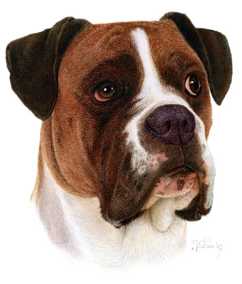 Illustrations Exhibit: Pets and Farm Animals Section: Dog Breeds Area: The Heritage Collection ...