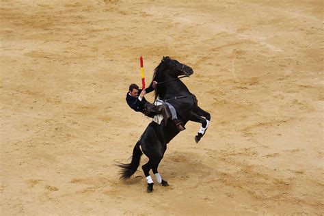 Why I Didn’t Go The Bullfight. The cultural challenges of living in… | by Jason Newton | Medium