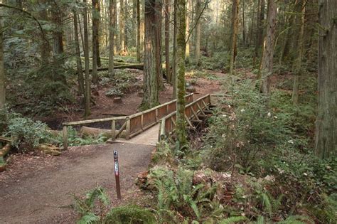 Best Trails near Bainbridge Island ... | Bainbridge island, Beautiful hikes, Park trails