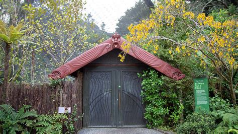 Te Wao Nui | Auckland Zoo