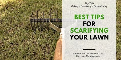 Best Tips For Scarifying Your Lawn