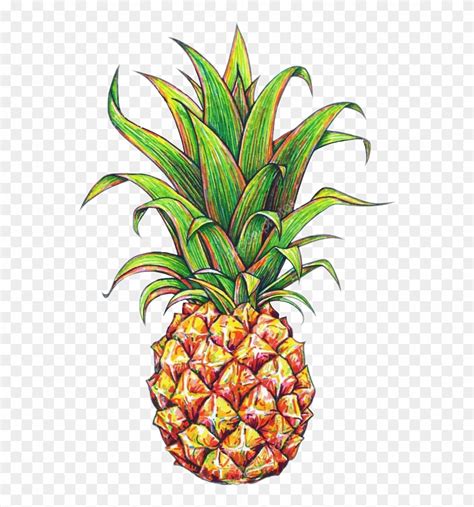 Free Pineapple Flower Cliparts, Download Free Pineapple Flower Cliparts png images, Free ...