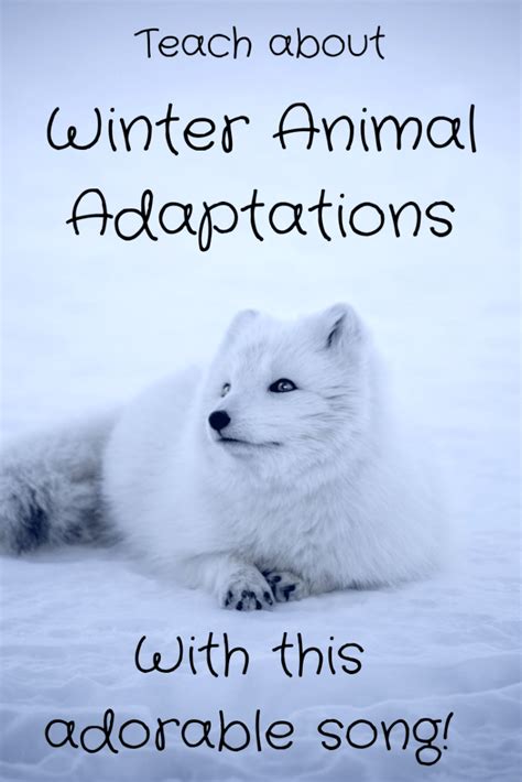 Winter Animal Adaptations Song | Animal adaptations, Winter animals kindergarten, Winter animals