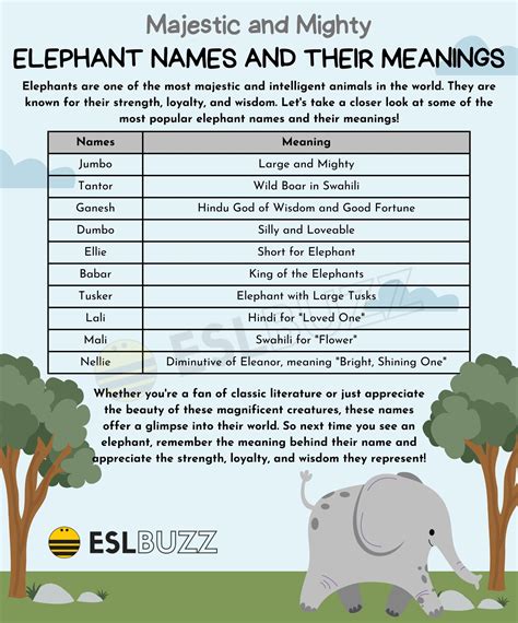 Unique and Adorable Elephant Names for Your Favorite Pachyderm - ESLBUZZ