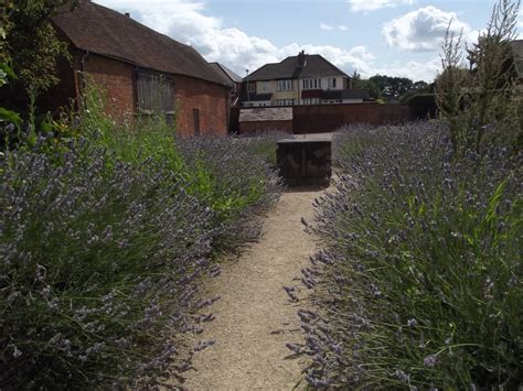 Blakesley Hall Gardens - lavender - sundial and barn | Flickr