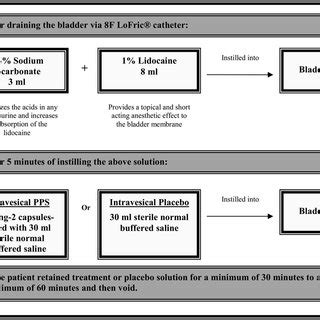 Procedure for intravesical instillation process of treatment or placebo ...