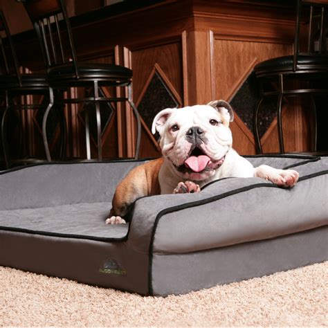 Orthopedic Dog Beds | Premium Support for Dogs | BuddyRest