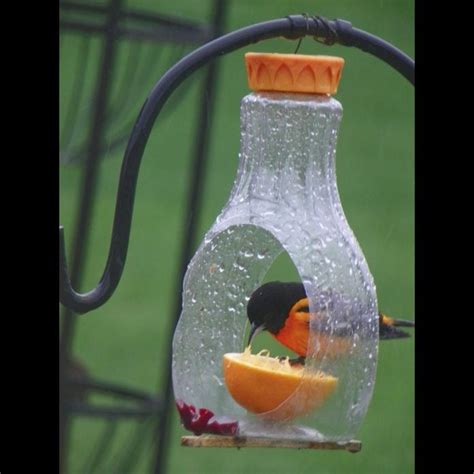 41 Really Cute Bird Feeder Ideas | Family Handyman