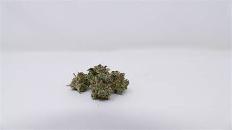 GMO Cannabis Strain Review & Information - ISMOKE