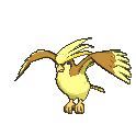 Shiny Pidgeotto Anime GIF - ShinyPidgeotto Anime Pokemon - Discover ...