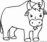 Ox Coloring Pages 28 Free Printables  ColoringAll sketch template