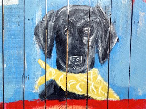 Free Images : color, blue, graffiti, painting, street art, cool image, mural, modern art, dog ...