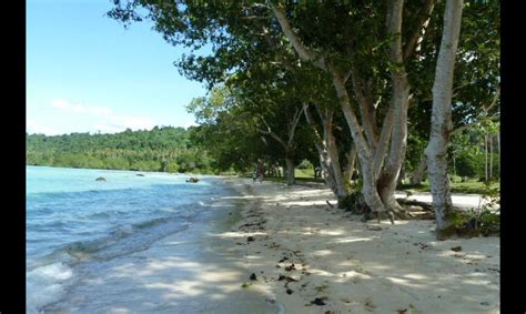 VELIT BAY LUGANVILLE | Book Vanuatu Travel | Hotels & Tours | Flights