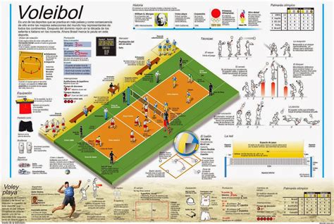 cosas de voley: Posiciones del voleibol