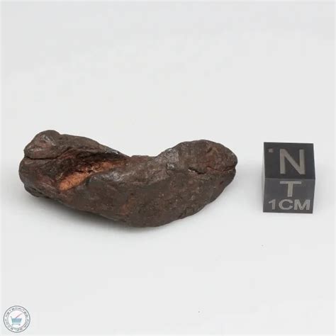 Canyon Diablo Meteorite CDB-93 - The Meteorite Exchange, Inc.